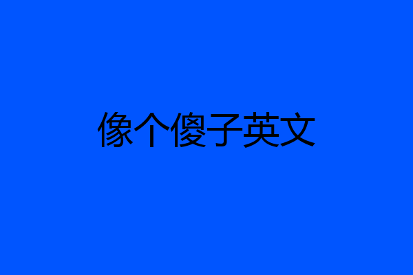 像个傻子英文
