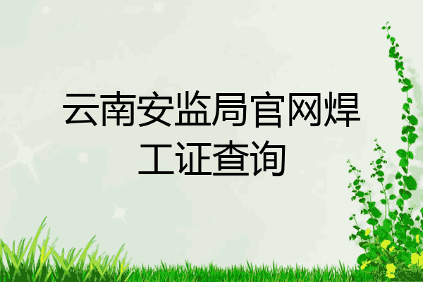 云南安监局官网焊工证查询