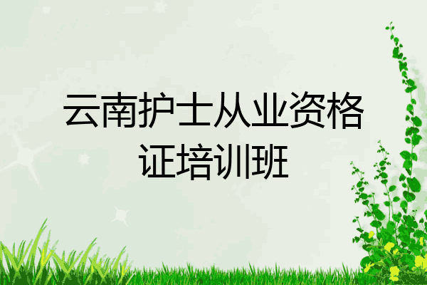 云南护士从业资格证培训班