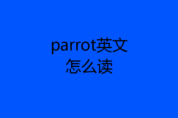 parrot英文怎么读