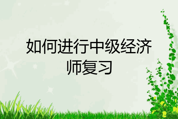 如何进行中级经济师复习