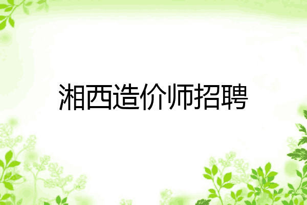 湘西造价师招聘