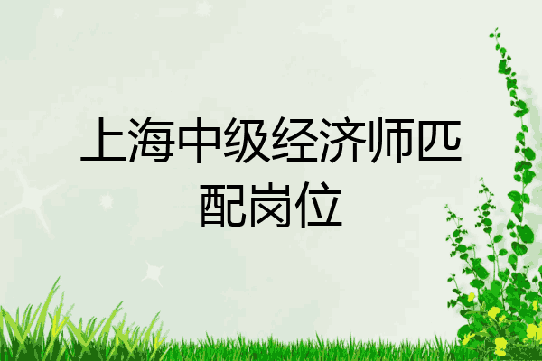 上海中级经济师匹配岗位