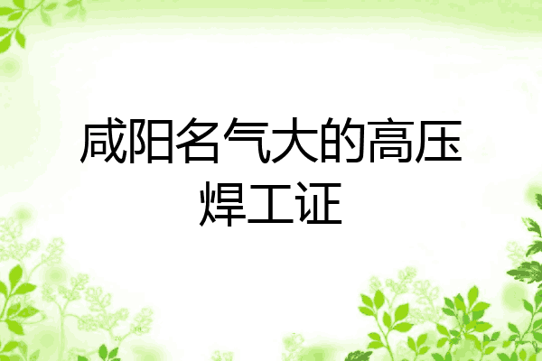 咸阳名气大的高压焊工证