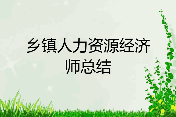 乡镇人力资源经济师总结