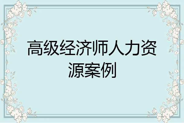 高级经济师人力资源案例