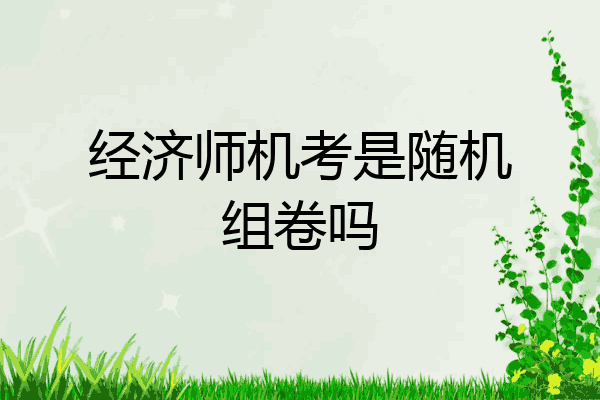 经济师机考是随机组卷吗