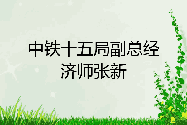 中铁十五局副总经济师张新
