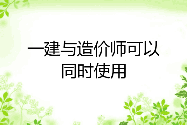一建与造价师可以同时使用