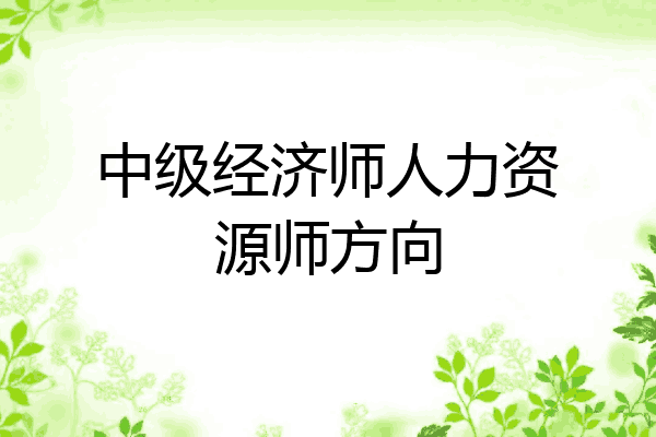 中级经济师人力资源师方向