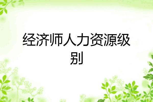 经济师人力资源级别