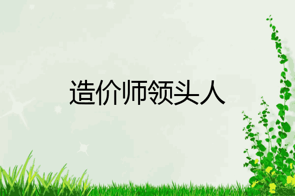 造价师领头人