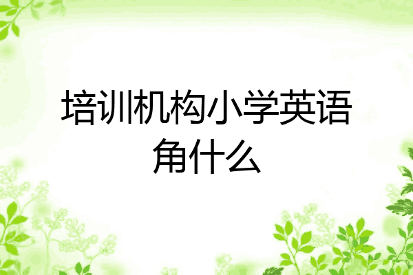 培训机构小学英语角什么