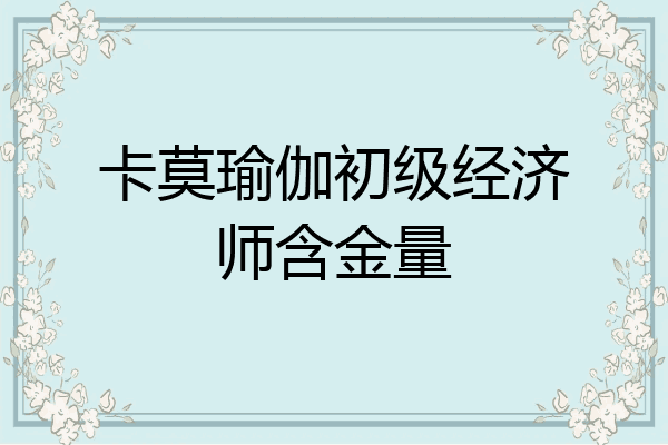 卡莫瑜伽初级经济师含金量