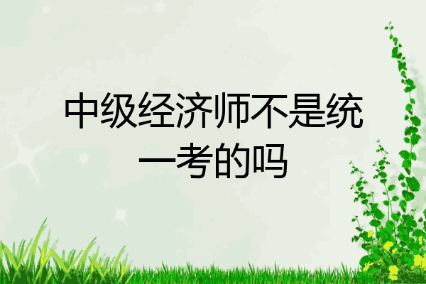 中级经济师不是统一考的吗