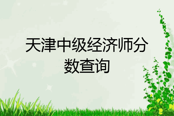 天津中级经济师分数查询