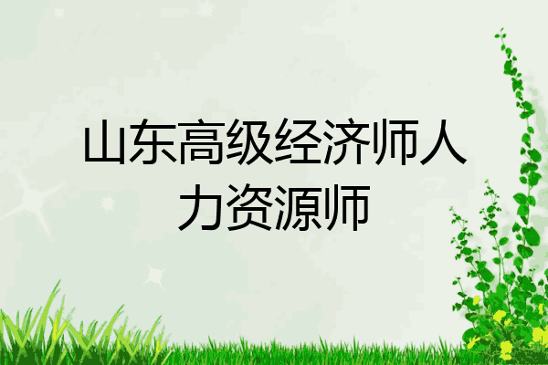 山东高级经济师人力资源师