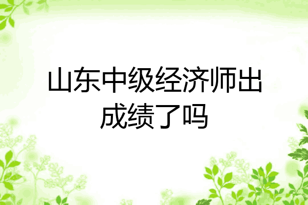 山东中级经济师出成绩了吗