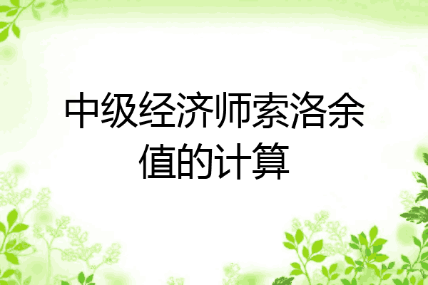 中级经济师索洛余值的计算