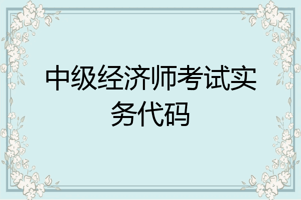 中级经济师考试实务代码