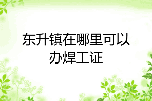 东升镇在哪里可以办焊工证