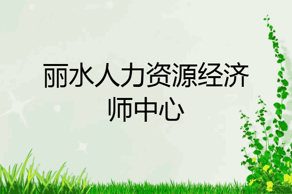 丽水人力资源经济师中心