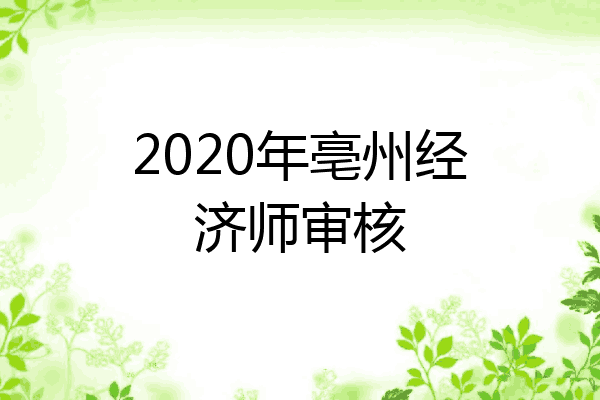 2020年亳州经济师审核