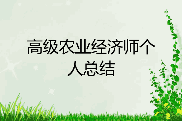 高级农业经济师个人总结