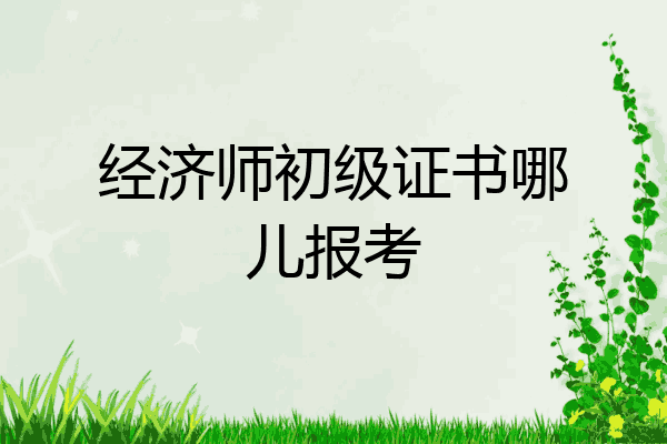 经济师初级证书哪儿报考