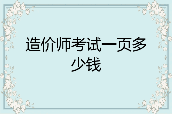 造价师考试一页多少钱