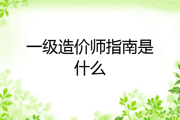 一级造价师指南是什么