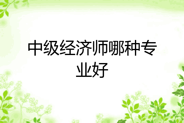 中级经济师哪种专业好