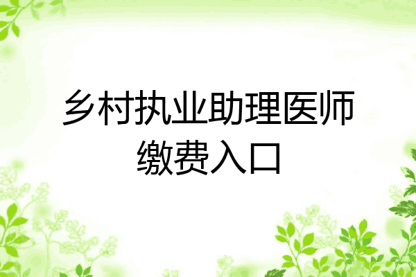 乡村执业助理医师缴费入口