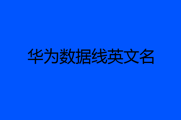 华为数据线英文名
