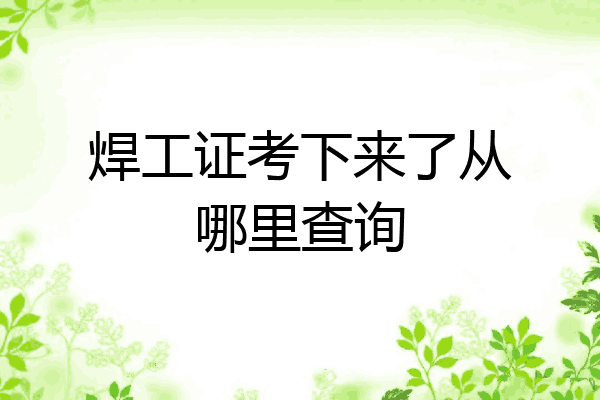 焊工证考下来了从哪里查询