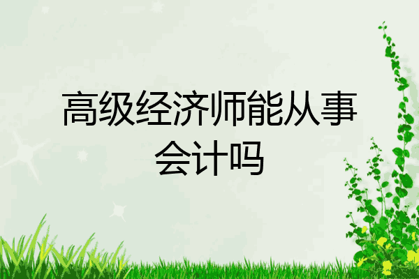 高级经济师能从事会计吗