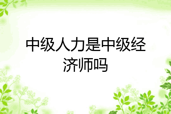 中级人力是中级经济师吗