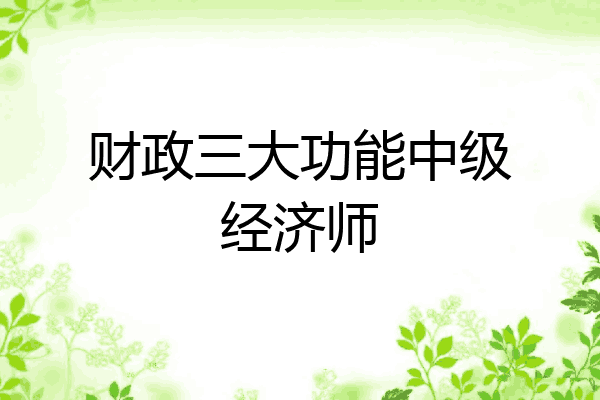 财政三大功能中级经济师