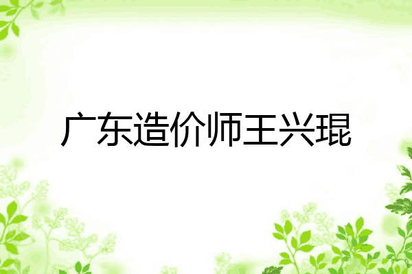 广东造价师王兴琨