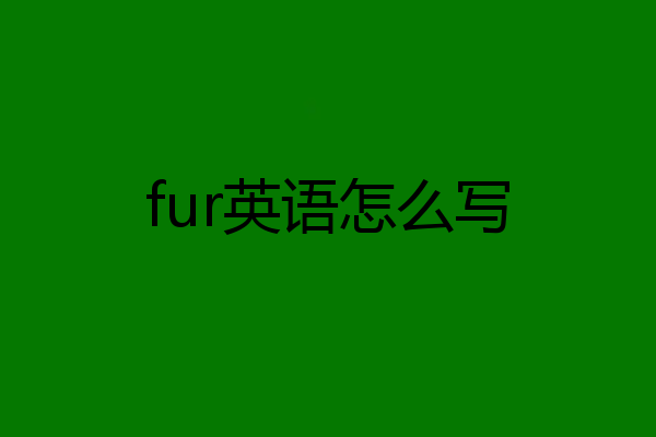 fur英语怎么写