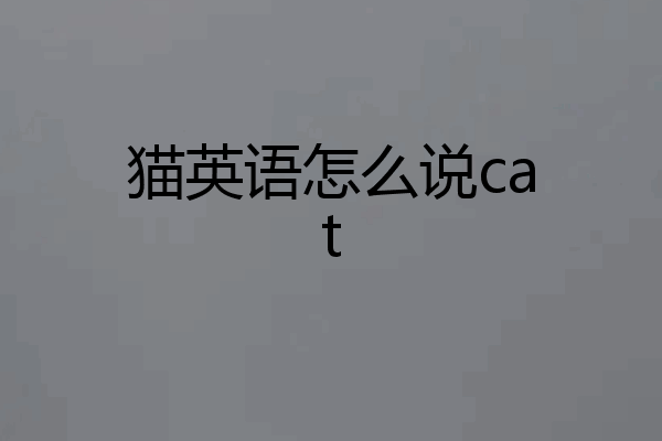 猫英语怎么说cat