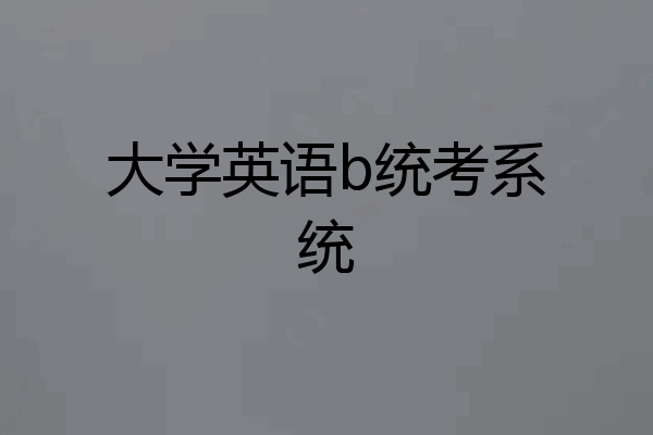 大学英语b统考系统