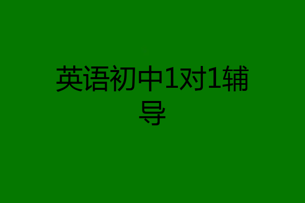 英语初中1对1辅导