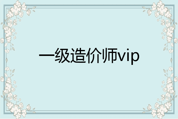 一级造价师vip