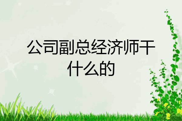 公司副总经济师干什么的