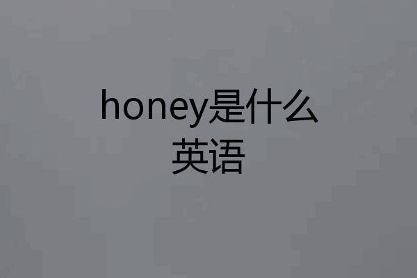 honey是什么英语