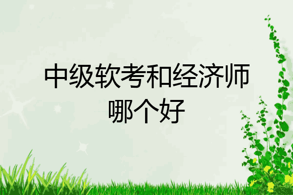 中级软考和经济师哪个好