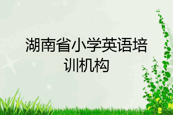 湖南省小学英语培训机构