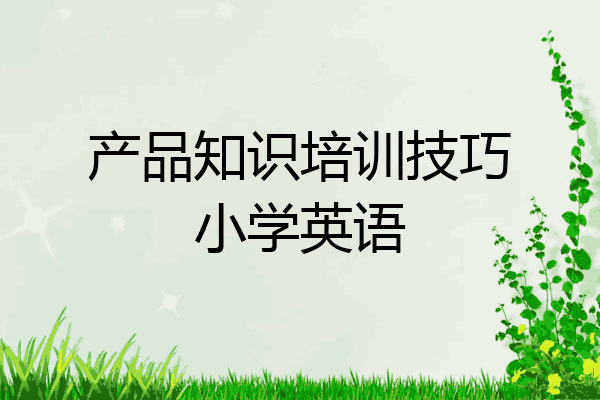 产品知识培训技巧小学英语