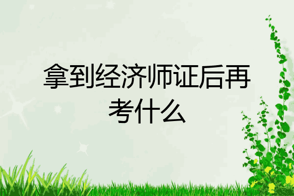 拿到经济师证后再考什么